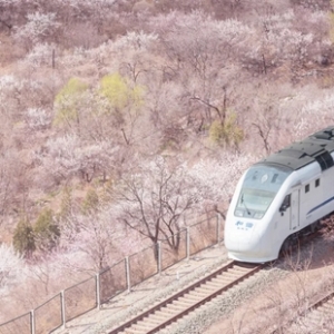 <b>中国最美的6条铁路　路上就是风景</b>
