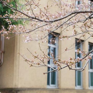 包容一切的京都 值得你为此停留