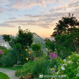 她40岁花300万在荒山造1500㎡花园