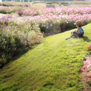 日本妈妈跟拍4岁儿子3年 打造美爆的“宫崎骏世界”