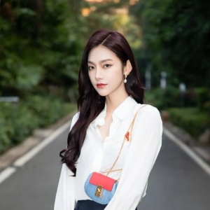 大牌新春系列有多“牛” 竟引得女星纷纷撞衫又撞包