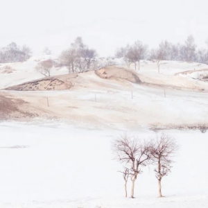 十一月最适合去北方看雪 去南方看海