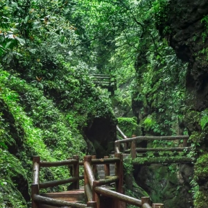 《我的姐姐》取景地曝光 这里藏着许多人向往的生活